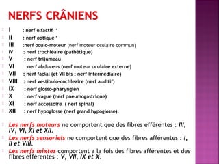  I : nerf olfactif * 
 II : nerf optique * 
 III :nerf oculo-moteur (nerf moteur oculaire commun) 
 IV : nerf trochléaire (pathétique) 
 V : nerf trijumeau 
 VI : nerf abducens (nerf moteur oculaire externe) 
 VII : nerf facial (et VII bis : nerf intermédiaire) 
 VIII : nerf vestibulo-cochleaire (nerf auditif) 
 IX : nerf glosso-pharyngien 
 X : nerf vague (nerf pneumogastrique) 
 XI : nerf accessoire ( nerf spinal) 
 XII : nerf hypoglosse (nerf grand hypoglosse). 
 Les nerfs moteurs ne comportent que des fibres efférentes : III, 
IV, VI, XI et XII. 
 Les nerfs sensoriels ne comportent que des fibres afférentes : I, 
II et VIII. 
 Les nerfs mixtes comportent a la fois des fibres afférentes et des 
fibres efférentes : V, VII, IX et X. 
 