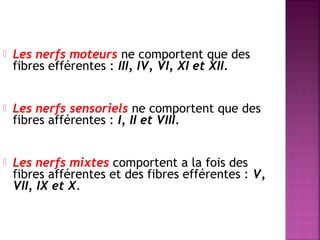  Les nerfs moteurs ne comportent que des 
fibres efférentes : III, IV, VI, XI et XII. 
 Les nerfs sensoriels ne comportent que des 
fibres afférentes : I, II et VIII. 
 Les nerfs mixtes comportent a la fois des 
fibres afférentes et des fibres efférentes : V, 
VII, IX et X. 
 