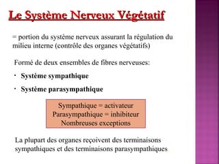 LLee SSyyssttèèmmee NNeerrvveeuuxx VVééggééttaattiiff 
= portion du système nerveux assurant la régulation du 
milieu interne (contrôle des organes végétatifs) 
Formé de deux ensembles de fibres nerveuses: 
• Système sympathique 
• Système parasympathique 
Sympathique = activateur 
Parasympathique = inhibiteur 
Nombreuses exceptions 
La plupart des organes reçoivent des terminaisons 
sympathiques et des terminaisons parasympathiques. 
 