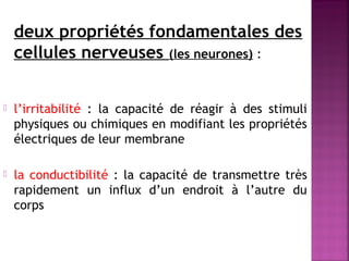 deux propriétés fondamentales des 
cellules nerveuses (les neurones) : 
 l’irritabilité : la capacité de réagir à des stimuli 
physiques ou chimiques en modifiant les propriétés 
électriques de leur membrane 
 la conductibilité : la capacité de transmettre très 
rapidement un influx d’un endroit à l’autre du 
corps 
 