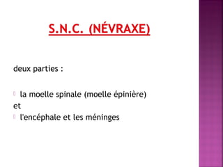 deux parties : 
 la moelle spinale (moelle épinière) 
et 
 l'encéphale et les méninges 
 