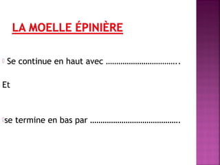  Se continue en haut avec …………………………….. 
Et 
se termine en bas par ……………………………………. 
 