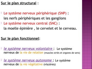 Sur le plan structural : 
 Le système nerveux périphérique (SNP) : 
les nerfs périphériques et les ganglions 
 Le système nerveux central (SNC) : 
la moelle épinière , le cervelet et le cerveau. 
Sur le plan fonctionnel: 
 le système nerveux volontaire : Le système 
nerveux de la vie de relation (muscles striés et organes de sens) 
 le système nerveux autonome : Le système 
nerveux de la vie végétative (viscères) 
 