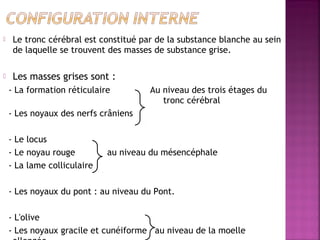  Le tronc cérébral est constitué par de la substance blanche au sein 
de laquelle se trouvent des masses de substance grise. 
 Les masses grises sont : 
- La formation réticulaire Au niveau des trois étages du 
tronc cérébral 
- Les noyaux des nerfs crâniens 
- Le locus 
- Le noyau rouge au niveau du mésencéphale 
- La lame colliculaire 
- Les noyaux du pont : au niveau du Pont. 
- L'olive 
- Les noyaux gracile et cunéiforme au niveau de la moelle 
allongée 
 