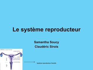 Le système reproducteur Samantha Soucy ClaudéricSirois Système reproducteur femelle 