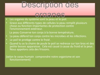 Description des organes Les organes du système sont la peau et le poil.Grace aux différents types de cellules la peau remplit plusieurs chose ou fonction importantes de protection contre l’environnement extérieur.     La peau Conserve ton corps à la bonne température.La peau défend ton corps contre les microbes et les infections.Le poil te protège contre le froid .Quand tu as la chaire de poule le poil se redresse sur ton bras et des petite bosses apparaisse.  Cela est causé à cause du froid et la peur.  Nous appelons cela des frissons.(selon le corps humain  comprendre notre organisme et son fonctionnement) 