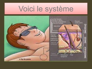 Voici le système