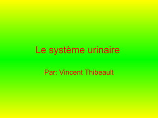 Le système urinaire   Par: Vincent Thibeault 