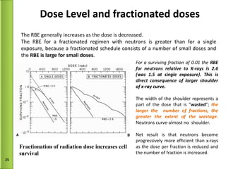 Dose Level and fractionated doses For a surviving fraction of 0.01 the  RBE  for neutrons relative to X-rays is 2.6 (was 1.5 at single exposure). This is direct consequence of larger shoulder of x-ray curve.  The width of the shoulder represents a part of the dose that is “ wasted ”;  the larger the  number of fractions, the greater the extent of the wastage . Neutrons curve-almost no  shoulder. Net result is that neutrons become progressively more efficient than x-rays as the dose per fraction is reduced and the number of fraction is increased. The RBE generally increases as the dose is decreased.  The RBE for a fractionated regimen with neutrons is greater than for a single exposure, because a fractionated schedule consists of a number of small doses and the  RBE is large for small doses . Fractionation of radiation dose increases cell survival 