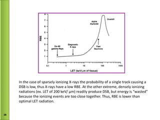 In the case of sparsely ionizing X-rays the probability of a single track causing a  DSB is low, thus X-rays have a low RBE. At the other extreme, densely ionizing radiations (ex. LET of 200 keV/  μm) readily produce DSB, but energy is “wasted” because the ionizing events are too close together. Thus, RBE is lower than  optimal LET radiation. 