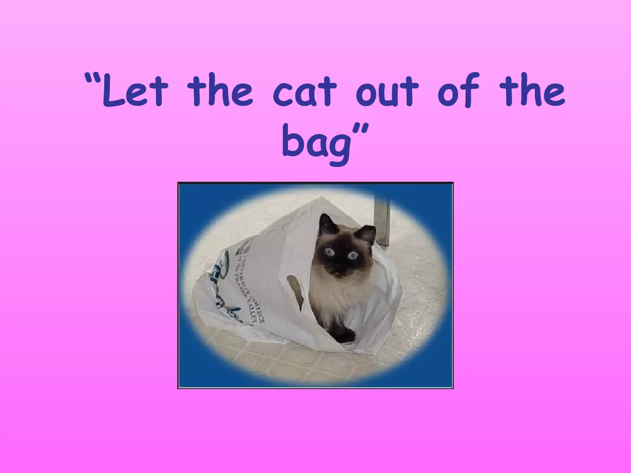Let The Cat Out Of The Bag 1 PPT