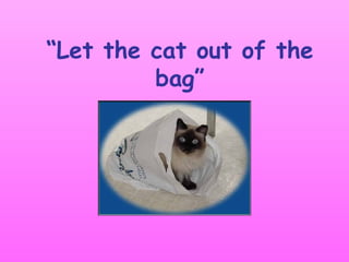 Let The Cat Out Of The Bag 1 | PPT