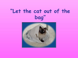 “ Let the cat out of the bag” 