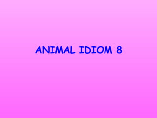 ANIMAL IDIOM 8 