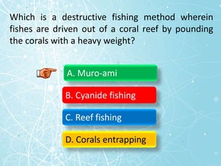 Which is a destructive fishing method wherein
fishes are driven out of a coral reef by pounding
the corals with a heavy weight?
A. Muro-ami
B. Cyanide fishing
C. Reef fishing
D. Corals entrapping
 