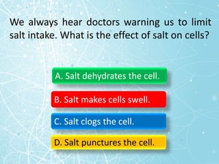 We always hear doctors warning us to limit
salt intake. What is the effect of salt on cells?
A. Salt dehydrates the cell.
B. Salt makes cells swell.
C. Salt clogs the cell.
D. Salt punctures the cell.
 