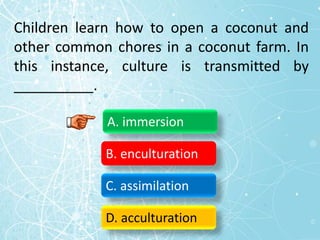 Children learn how to open a coconut and
other common chores in a coconut farm. In
this instance, culture is transmitted by
__________.
A. immersion
B. enculturation
C. assimilation
D. acculturation
 