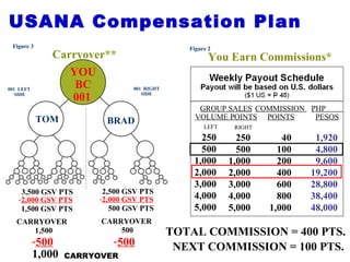 Figure 3
Carryover**
001 LEFT
SIDE
001 RIGHT
SIDE
YOU
BC
001
TOM BRAD
3,500 GSV PTS 2,500 GSV PTS
CARRYOVER
500
1,500 GSV PTS 500 GSV PTS
-2,000 GSV PTS -2,000 GSV PTS
You Earn Commissions*
Figure 2
GROUP SALES
VOLUME POINTS
LEFT
250
500
1,000
2,000
3,000
4,000
5,000
RIGHT
250
500
1,000
2,000
3,000
4,000
5,000
COMMISSION
POINTS
40
100
200
400
600
800
1,000
PHP
PESOS
1,920
4,800
9,600
19,200
28,800
38,400
48,000
USANA Compensation Plan
TOTAL COMMISSION = 400 PTS.
CARRYOVER
1,500
-500 -500
1,000
NEXT COMMISSION = 100 PTS.
CARRYOVER
 