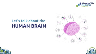 Let’s talk about the
HUMAN BRAIN
 