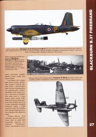 Letadla 1939 1945 Raf1