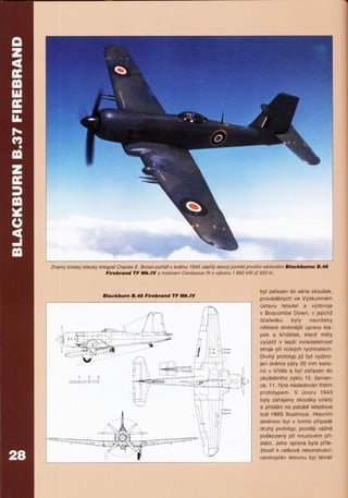 Letadla 1939 1945 Raf1