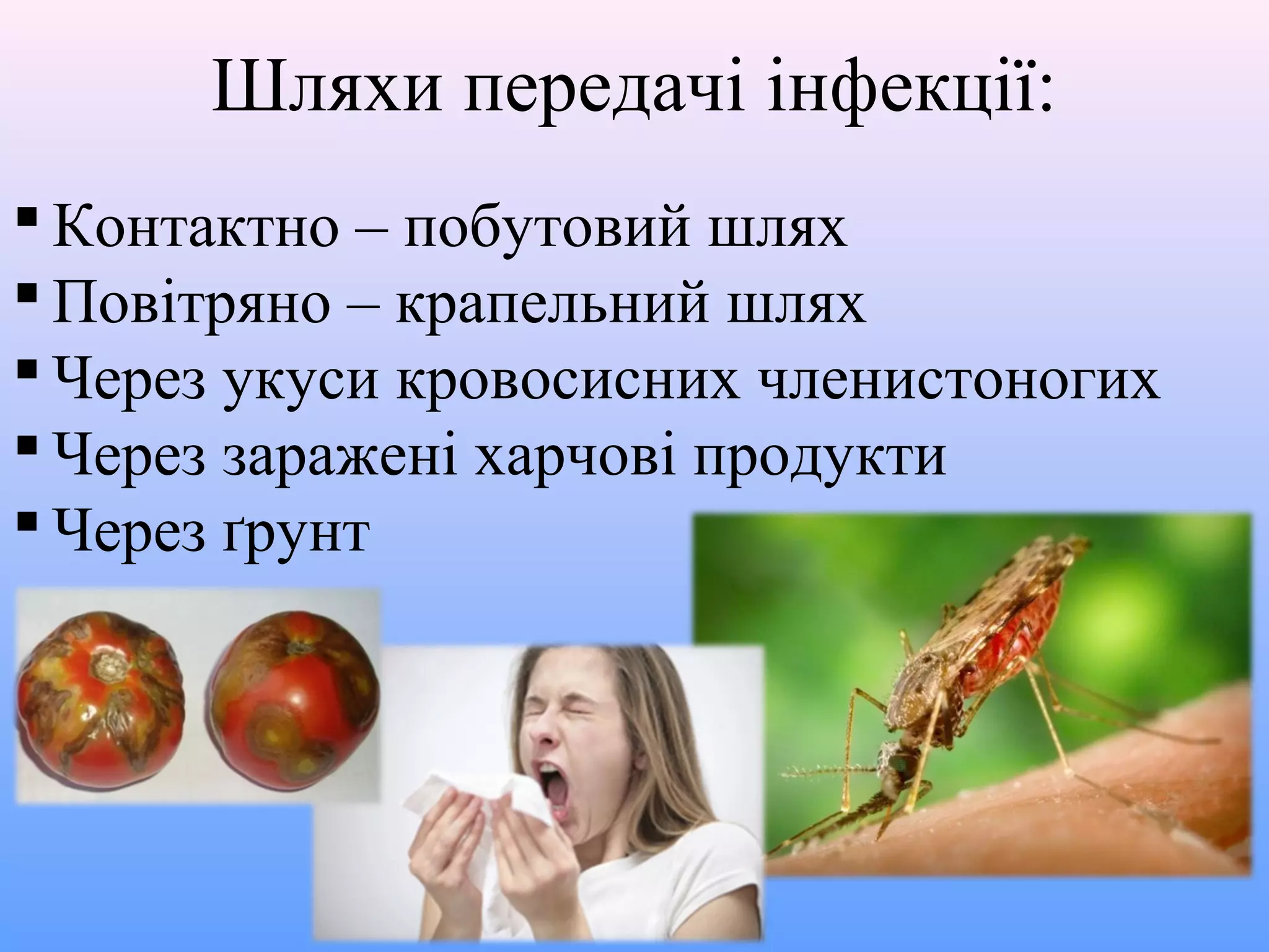 Шляхи передачі інфекції:
 Контактно – побутовий шлях
 Повітряно – крапельний шлях
 Через укуси кровосисних членистоногих
 Через заражені харчові продукти
 Через ґрунт

 