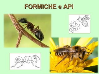 Non è un vero e proprio letargo

      TALPA
 