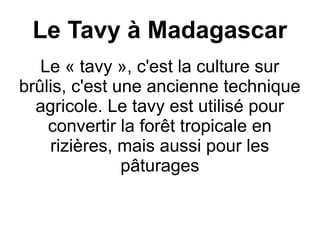 Le Tavy à Madagascar
Le « tavy », c'est la culture sur
brûlis, c'est une ancienne technique
agricole. Le tavy est utilisé pour
convertir la forêt tropicale en
rizières, mais aussi pour les
pâturages
 