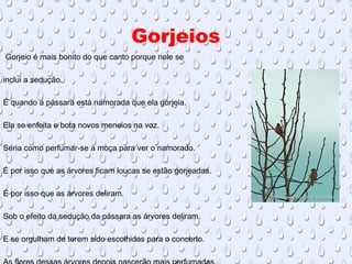 Gorjeios
Gorjeio é mais bonito do que canto porque nele se
inclui a sedução.
É quando a pássara está namorada que ela gorjeia.
Ela se enfeita e bota novos meneios na voz.
Seria como perfumar-se a moça para ver o namorado.
É por isso que as árvores ficam loucas se estão gorjeadas.
É por isso que as árvores deliram.
Sob o efeito da sedução da pássara as árvores deliram.
E se orgulham de terem sido escolhidas para o concerto.
 