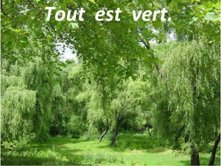 Tout est vert.
 