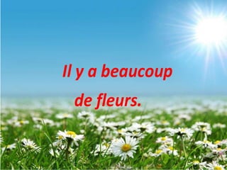 Il y a beaucoup
de fleurs.
 