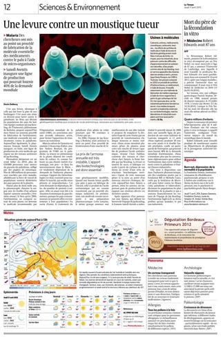 Sciences&Environnement
Le Temps
Jeudi 11 avril 2013
12
Sud des Alpes
Suisse centrale
et orientale
Bassin lémanique,
Plateau romand et Jura
Alpes vaudoises
et Valais (500 m)
Jour/degré de fiabilité:
Ephéméride
Soleil
Lune
Limite des chutes de neige:
Situation générale aujourd’hui à 13h
Prévisions en Suisse pour
le matin et l’après-midi. Les
températures sont les valeurs
minimales (bleu) et maximales
(rouge) à 2 mètres du sol.
MétéoSuisse
tél. 0900 162 666
en ligne avec nos météorologues,
24 heures sur 24
(fr. 3.- l’appel, fr. 1,50 la minute)
Prévisions à cinq jours
Haute
pression
Basse
pression
Front
froid
Front
chaud
Front
occlus
Isobares
(hPa)
H
B
1015
-15 à -10°moinsde-15° 25° et plus-10 à -5° -5 à 0° 0 à 5° 5 à 10° 10 à 15° 15 à 20° 20 à 25°
Bâle
Lausanne
Sion
Verbier
Locarno
Zurich
Saint-Gall
Coire
Saint-Moritz
Genève
La Chaux-de-Fonds
Berne
Agenda
Burn-out, dépression: de la
normalité à la psychiatrie
La Fondation Domus, institution
valaisanne de réhabilitation
psychosociale, propose ce soir
à Ardon une conférence sur le
thème du burn-out et de la dé-
pression, avec le psychiatre et
psychothérapeute Alexis Burger.
Jeudi 11 avril, 20h, Espace Garance,
Fondation Domus, route du
Simplon 31, Ardon. Entrée libre.
Plus d’informations sur
www.fondation-domus.ch
Mortdupèrede
lafécondation
invitro
> Médecine Robert
Edwards avait 87 ans
AFP
Le Britannique Robert Ed-
wards, pionnier de la fécondation
in vitro récompensé par un Prix
Nobel, est mort mercredi à l’âge
de 87 ans, a annoncé l’Université
de Cambridge, avec laquelle il
avait travaillé. Le professeur Ro-
bert Edwards «est mort paisible-
mentdanssonsommeille10avril
2013, après une longue maladie»,
a précisé l’université dans un
communiqué. Il avait reçu le Prix
Nobel de médecine en 2010 (LT
du 05.10.2010).
Ses travaux, avec son collègue
gynécologue Patrick Steptoe, dé-
cédé en 1988, avaient permis
de donner naissance, le 25 juillet
1978, à Louise Joy Brown (LT du
18.10.2010). Lorsque le Prix No-
bel lui avait été décerné, elle lui
avait elle-même adressé ses félici-
tations.
Quatre millions d’enfants
Depuis la naissance du premier
bébé-éprouvette, plus de 4 mil-
lions d’enfants ont été conçus
grâce à cette technique, a rappelé
l’université, soulignant l’«im-
mense impact» du travail du
scientifique dans le monde.
Robert Edwards avait travaillé
pendant de nombreuses années
au Département de physiologie
de la prestigieuse université bri-
tannique.
Unelevurecontreunmoustiquetueur
> Malaria Des
chercheurs ont mis
au point un procédé
de fabrication de la
molécule essentielle
des médicaments
contre le palu à l’aide
de micro-organismes
> Sanofi Aventis
inaugure une ligne
de production
qui pourrait fournir
40% de la demande
mondiale
Denis Delbecq
C’est une levure, identique à
celle qui fait lever la pâte de nos
boulangers. C’est aussi une arme
en devenir pour lutter contre le
paludisme, un fléau qui décime
les populations des pays du Sud.
Une équipe conduite par Jay Keas-
ling, de l’Université californienne
de Berkeley, propose aujourd’hui
dans Nature un nouveau procédé
de fabrication de l’artémisinine,
une molécule essentielle des mé-
dicaments contre le paludisme.
Aujourd’hui également, le phar-
macien français Sanofi Aventis
inaugure, en Italie, une ligne de
production de cette molécule qui
repose sur des travaux antérieurs
de Jay Keasling.
Plasmodium falciparum est un
serial killer: en 2010, plus de
650000 personnes sont mortes
du parasite du paludisme, infligé
par des piqûres de moustique.
Plus de 300 millions de personnes
sont touchées par cette maladie,
affaiblissant la force de travail de
populations souvent déshéritées
des pays pauvres de la planète.
Depuis plus de deux mille ans,
la pharmacopée chinoise la soi-
gne avec les feuilles d’un arbuste
baptisé «armoise annuelle» (Arte-
misia annua). Si bien qu’en 2006,
l’artémisinine, un composé ex-
trait de cette plante, est devenue
la molécule recommandée par
l’Organisation mondiale de la
santé (OMS), en association avec
une seconde substance active,
pour freiner l’apparition de résis-
tances au traitement.
«Maislaculturedel’armoiseest
soumise à beaucoup d’aléas, ana-
lyse Andrea Bosman, du pro-
gramme de l’OMS sur le palu-
disme. La teneur en artémisinine
de la plante dépend des condi-
tions de culture. Et, comme l’ar-
buste n’a pas d’autre intérêt éco-
nomique, son prix – et donc les
investissements dans la filière –
est totalement dépendant de la
demande de l’industrie pharma-
ceutique. L’apport des biotechno-
logies est donc essentiel pour sta-
biliser le marché, qui oscille entre
pénurie et surproduction.» Car
cettedemandenedépendpas,hé-
las, du nombre de patients à soi-
gner. «Elle est avant tout liée à la
situationéconomiquedepaysdo-
nateurs,puisquelespaysconsom-
mateurs ne peuvent offrir ces trai-
tements à leur population.» En
sortie d’usine, le traitement du
paludisme d’un adulte ne coûte
pourtant que 90 centimes à
2 francs par an…
En 2006, l’équipe de Jay Keas-
ling à Berkeley avait annoncé la
mise au point d’un procédé de
fermentation d’une souche de le-
vure génétiquement modifiée.
Quand une banale levure gonfle
une pâte à pain ou fabrique de
l’alcool, celle-ci produit de l’acide
artémisinique qui est ensuite
transformé, par un procédé chi-
mique industriel, en artémisi-
nine, une molécule ensuite incor-
porée à une préparation
pharmaceutique. Cette semaine,
le même groupe annonce une
amélioration de son idée initiale
et propose de remplacer la der-
nière étape de cette chaîne par un
procédé de transformation chi-
mique nouveau et moins oné-
reux. «Nous avons introduit plu-
sieurs gènes de plantes pour
créer une souche de levure capa-
ble de produire l’acide artémisi-
nique, résume Chris Paddon,
coauteur des travaux et cher-
cheur chez Amyris, la firme fon-
dée par Jay Keasling. La levure se
nourrit de sucre, et fabrique cet
acide à partir du carbone de son
menu au terme d’une série de
réactions biochimiques inter-
nes.» L’ajout de trois nouveaux
gènes et la mise au point d’un
nouveau réacteur chimique, dé-
crits aujourd’hui dans Nature, a
permis, selon les auteurs, un im-
portant gain de productivité par
rapport aux résultats décrits ces
dernières années.
Après signature d’un partena-
riat avec Amyris, qui détient les
brevetsdel’équipedeJayKeasling,
le français Sanofi Aventis a indus-
trialisé le procédé datant de 2006
dans une nouvelle ligne de pro-
duction de son usine italienne de
Garessio, inaugurée ce 11 avril.
«Nous espérons produire 30 ton-
nes cette année et le double l’an-
née prochaine, confie un porte-
paroledel’entreprise,quipourrait
ainsi fournir 40% de la demande
mondiale d’artémisinine. «Nous
n’attendons plus que les autorisa-
tions réglementaires pour utiliser
l’artémisinine dans notre médica-
ment contre le paludisme et four-
nir d’autres industriels.»
Une mise à disposition rare
dans l’industrie pharmaceutique,
née des conditions posées par la
Fondation Bill et Melinda Gates,
créée par le fondateur de Micro-
soft pour lutter contre les fléaux
(sida, paludisme et tuberculose)
décimant les populations les plus
déshéritées de la planète et qui a
soutenu financièrement les tra-
vaux de l’équipe de Jay Keasling:
l’artémisinine high-tech ne devra
profiter qu’aux malades, et pas
aux industriels.
Le prix de l’armoise
annuelle est très
instable. L’apport
des biotechnologies
est donc essentiel
«Saccharomyces cerevisiae», la levure communément utilisée pour faire du pain ou de la bière, a été
génétiquement modifiée pour produire de l’acide artémisinique, nécessaire aux traitements anti-palu. ARCHIVES
MEDISCAN/CORBIS
Médecine
Un cerveau transparent
Des chercheurs sont parvenus
à rendre un cerveau totalement
transparent pour voir ce qui s’y
passe. Certes, le cerveau apparte-
nait à une souris morte, mais cette
prouesse leur a tout de même
permis d’étudier, en trois dimen-
sions et sans dissection, l’intégra-
lité de ses neurones et structures
moléculaires. (Agences)
Allergies
Tous les pollens à la fois
Les prochaines semaines s’annon-
cent critiques pour les personnes
allergiques. Le réchauffement
annoncé ces prochains jours
risque fort de faire s’envoler
simultanément les pollens
de différentes espèces. (ATS)
Archéologie
Vaisselle nippone
Les hommes préhistoriques
faisaient mal la vaisselle, et c’est
tant mieux. Car les chasseurs-
cueilleurs vivant au Japon voici
12 000 à 15 000 ans nous ont
ainsi laissé la preuve qu’ils utili-
saient déjà leurs poteries pour
cuisiner et qu’ils aimaient
le poisson. (AFP)
Paléontologie
Croissance de dinosaure
La découverte en Chine d’em-
bryons de dinosaures du Jurassi-
que inférieur, à différents stades
de développement, apporte un
nouvel éclairage sur la croissance
– particulièrement rapide – de ces
géants, selon une étude publiée
mercredi dans Nature. (AFP)
Panorama
PUBLICITÉ
Météo
7° 15° 6° 14°
-5° 4°
5° 18°
5° 14°
6° 14°
7° 16°2° 12°
6° 13°
3° 10°
6° 17°
9° 14°
990
995
1000
1005
1010
1015
1005
1010
1015
1020
103010251020
1015
1020
H
H
B
H
H
H
B
B
Un rapide courant d’ouest entraîne de l’air humide et instable vers nos
régions. Dès samedi, les conditions redeviendront anticycloniques.
Aujourd’hui, le ciel sera nuageux, il n’y aura que peu de soleil, hormis en
Valais. Les averses deviendront éparses en cours de matinée, avant une
nouvelle dégradation en fin de journée. Vendredi, le temps restera très
changeant, venteux, avec, par moments, des averses. Le soleil s’imposera
progressivement ce week-end et le mercure s’élèvera aux alentours de 20°.
Vendredi 80% Samedi 70% Dimanche 70% Lundi 60% Mardi 50%
8°
13°
1400 m
5°
14°
-
3°
19°
-
5°
20°
-
7°
13°
1800 m
8°
15°
1400 m
4°
16°
-
4°
21°
-
6°
22°
-
8°
15°
1800 m
8°
13°
1300 m
6°
15°
-
4°
18°
-
5°
21°
-
8°
15°
1600 m
7°
13°
1600 m
7°
19°
-
7°
20°
-
6°
17°
-
7°
16°
-
Jeudi 11 avril 2013
lever: 06h56
coucher: 20h18
3 minutes de soleil en plus
lever: 07h14
coucher: 21h43
Lune: croissante
taux de remplissage: 1%
<wm>10CFWMoQ7DMAwFv8jRe7bjJjOcyqqCadykKt7_oyljA8fu7jiyN_x47ud7fyUBVWGEjp4a0bxvSWfbTBOOqaA9qJhUH_jzBQhzoJYjcMEsUjCka41pRVuHWjW0fa77C4KQJ1OAAAAA</wm>
<wm>10CAsNsjY0MDAy0jU0MzOyMAUA0CSMuA8AAAA=</wm>
Usines à molécules
Colorants,arômes,médicaments,
cosmétiques,carburants,lessi-
ves…leseffortsdesynthèsede
moléculesàl’aidedelevureset
bactériesgénétiquementmodi-
fiéesn’ontpasdelimite.Un
moyen,pourlesindustriels,dese
prémunircontredesdifficultés
d’approvisionnementensubstan-
cesnaturelles.«Desprojets
commeceluideJayKeasling,nous
enverronsapparaîtredesdizaines
danslesannéesàvenir»,pronos-
tiqueDenisPompon,duCNRSà
Toulouse.Songroupeaproposé
en2003unprocédédesynthèse
d’hydrocortisone,unmédicament,
àl’aidedelevures.Iltravaille
notammentsuruneméthodede
fabricationdematièreorganique
àl’aidedemicro-organismesà
partirdugazcarboniquedel’air.
Onn’ensaurapasplus,carles
industrielspartenairestiennentau
secret.«Lesmédiasévoquent
souventunleadershipaméricain
surcesbiotechnologies,maisles
laboratoiresetindustrielseuro-
péenssonttoutaussiperfor-
mants.»D.Dq
 