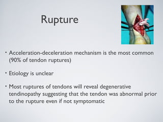 Rupture

•   Acceleration-deceleration mechanism is the most common
    (90% of tendon ruptures)

•   Etiology is unclear

•   Most ruptures of tendons will reveal degenerative
    tendinopathy suggesting that the tendon was abnormal prior
    to the rupture even if not symptomatic
 