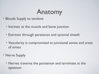 Anatomy
•   Bloods Supply to tendons

    •   Intrinsic at the muscle and bone junction

    •   Extrinsic through paratenon and synovial sheath

    •   Vascularity is compromised at junctional zones and areas
        of stress

•   Nerve Supply

    •   Nerves traverse the paratenon and terminate at the
        epitenon
 