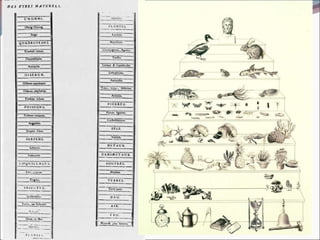 La scala naturae Col termine di Scala Naturae si intende l’ordinamento degli esseri viventi in funzione della loro complessità In basso ci sono gli infusori In alto gli uomini 