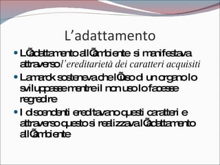 L’adattamento L’adattamento all’ambiente  si manifestava attraverso  l’ereditarietà dei caratteri acquisiti Lamarck sosteneva che l’uso di un organo lo sviluppasse mentre il non uso lo facesse regredire I discendenti ereditavano questi caratteri e attraverso questo si realizzava l’adattamento all’ambiente 