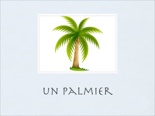 un palmier
 