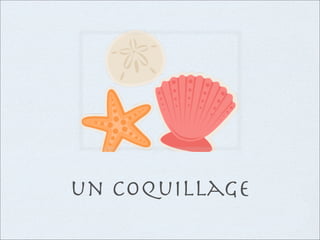 un coquillage
 