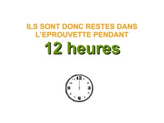 ILS SONT DONC RESTES DANS
L’EPROUVETTE PENDANT
12 heures12 heures
 