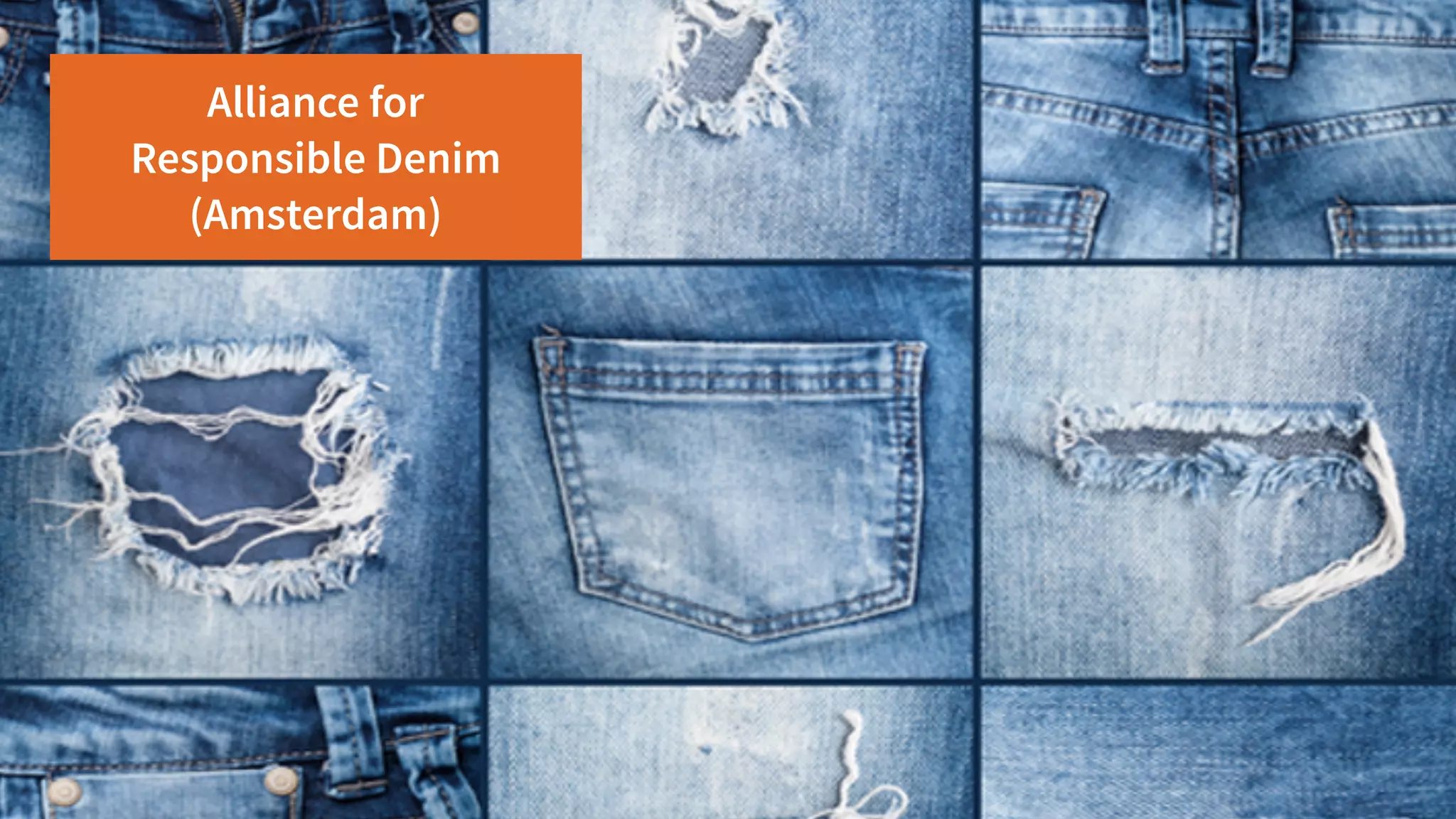 Alliance for
Responsible Denim 
(Amsterdam)
 