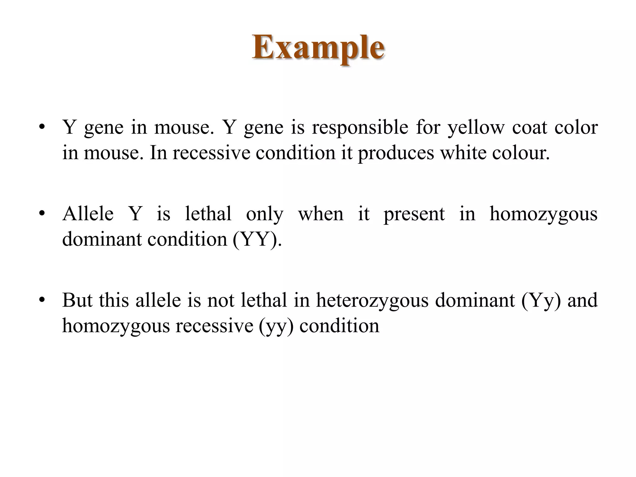 Example
• Y gene in mouse. Y gene is responsible for yellow coat color
in mouse. In recessive condition it produces white colour.
• Allele Y is lethal only when it present in homozygous
dominant condition (YY).
• But this allele is not lethal in heterozygous dominant (Yy) and
homozygous recessive (yy) condition