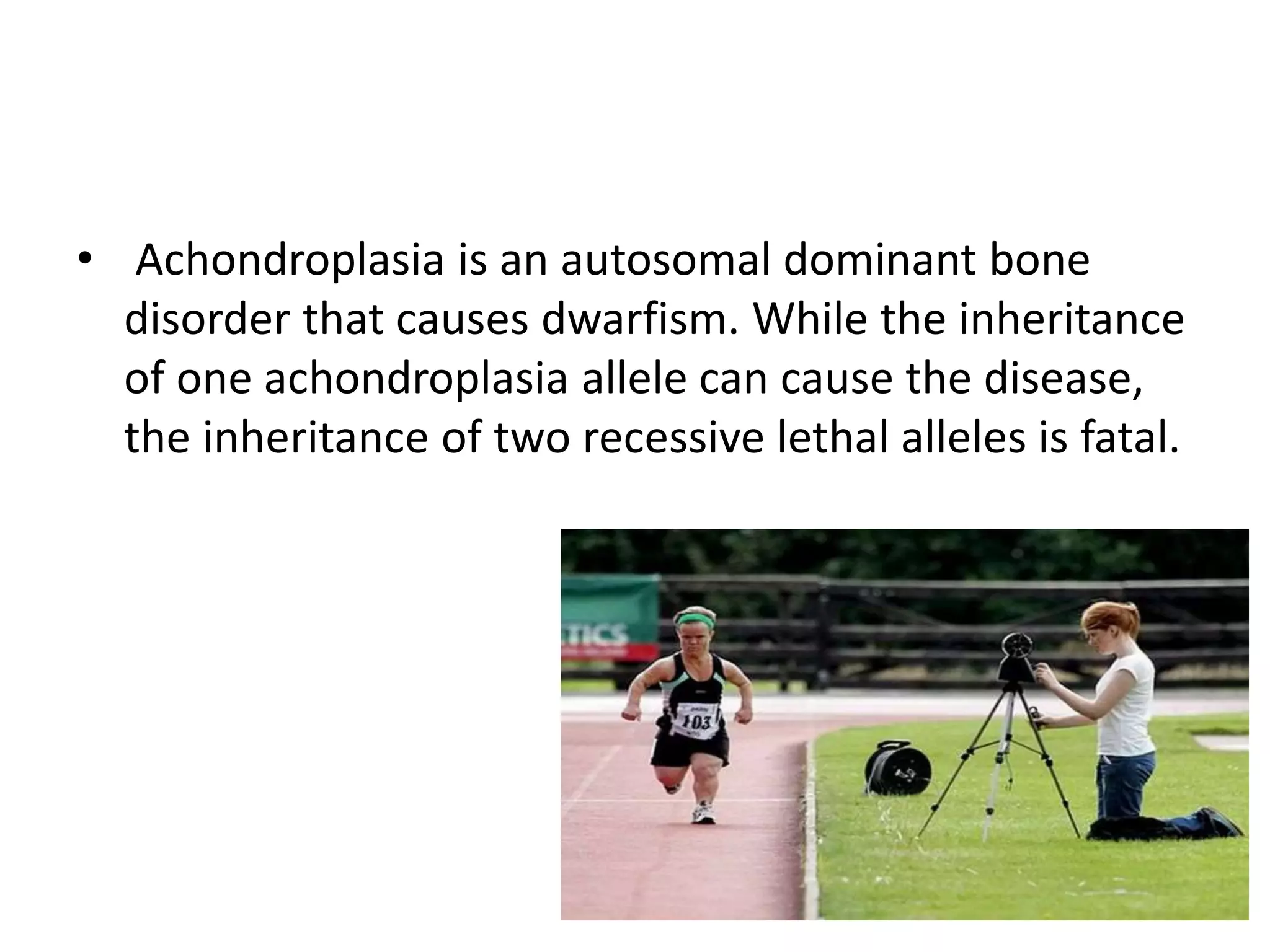 • Achondroplasia is an autosomal dominant bone
disorder that causes dwarfism. While the inheritance
of one achondroplasia allele can cause the disease,
the inheritance of two recessive lethal alleles is fatal.
 