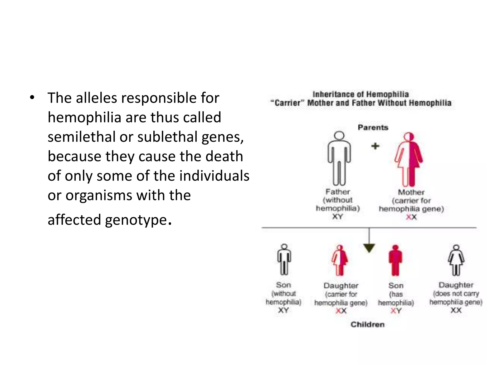 • The alleles responsible for
hemophilia are thus called
semilethal or sublethal genes,
because they cause the death
of only some of the individuals
or organisms with the
affected genotype.
 