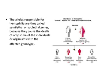 • The alleles responsible for
hemophilia are thus called
semilethal or sublethal genes,
because they cause the death
of only some of the individuals
or organisms with the
affected genotype.
 