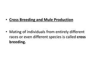 • Cross Breeding and Mule Production
• Mating of individuals from entirely different
races or even different species is called cross
breeding.
 