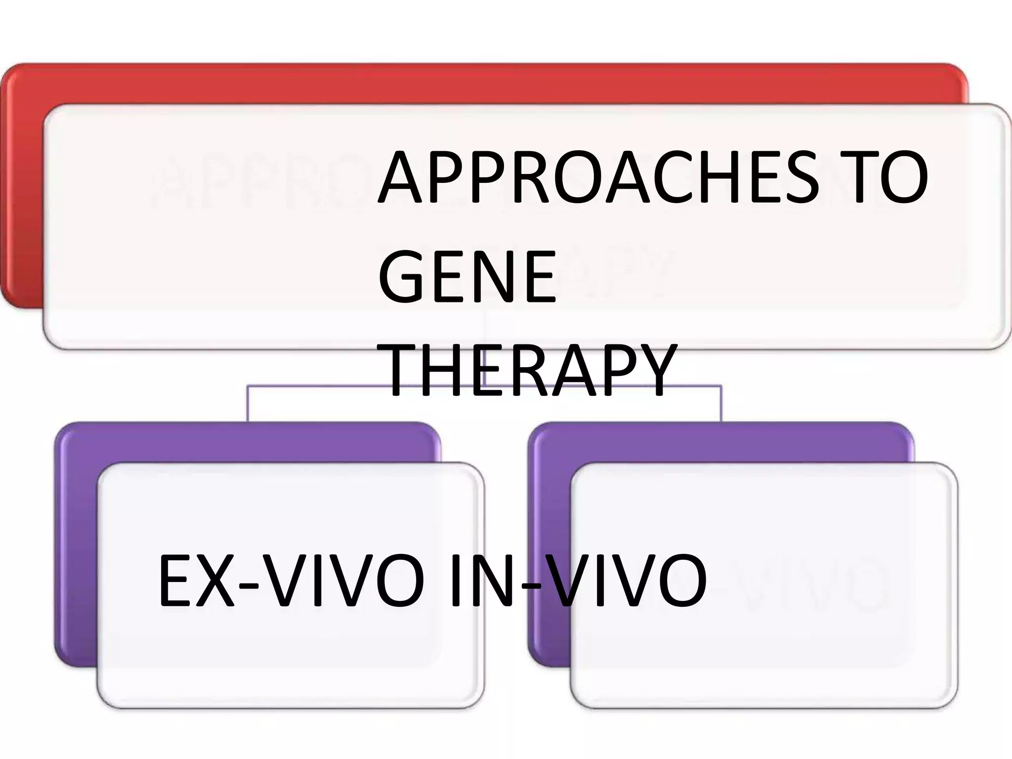 APPROACHES TO
GENE
THERAPY
EX-VIVO IN-VIVO
 