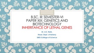 B.SC. III: SEMESTER-VI
PAPER XIX: GENETICS AND
BIOTECHNOLOGY
INHERITANCE OF LETHAL GENES
Dr. A.S. Naik,
Head, Dept. of Botany
SBES College of Science
 