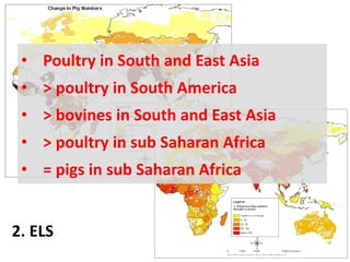 Zoonoses: The lethal gifts of livestock