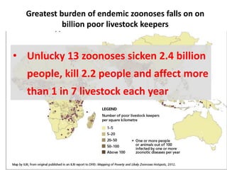 Zoonoses: The lethal gifts of livestock