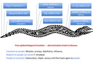 Zoonoses: The lethal gifts of livestock